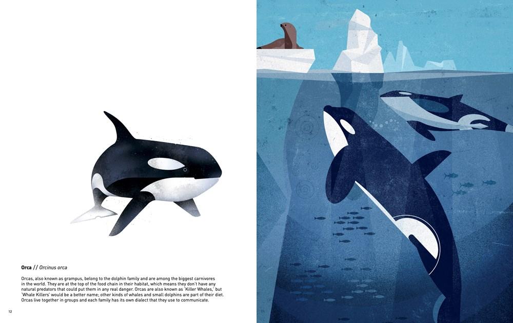 Sách - Wild Animals of the World by Dieter Br.aun