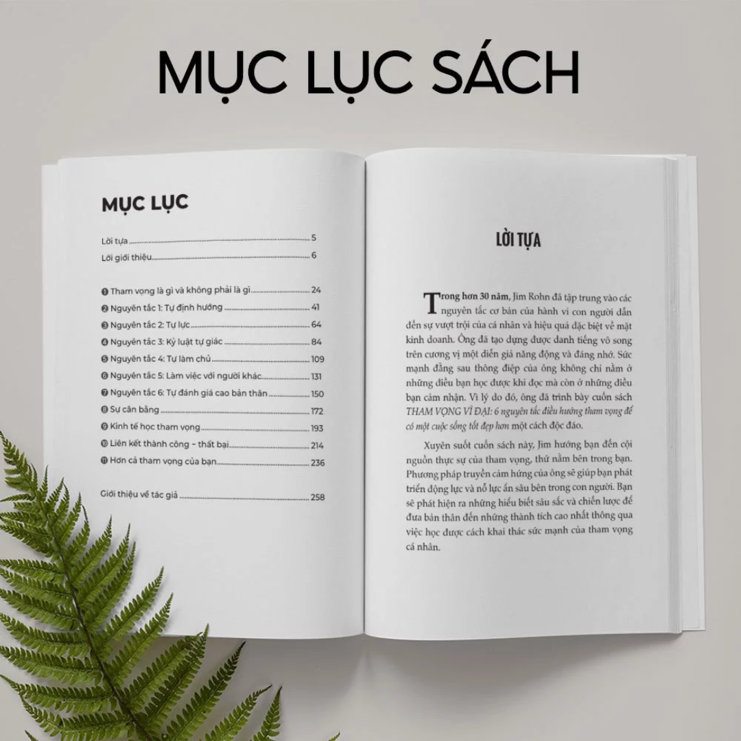 Sách Tham Vọng Vĩ Đại - 6 Nguyên Tắc Điều Hướng Tham Vọng Để Có Một Cuộc Sống Tốt Đẹp Hơn - Bizbooks