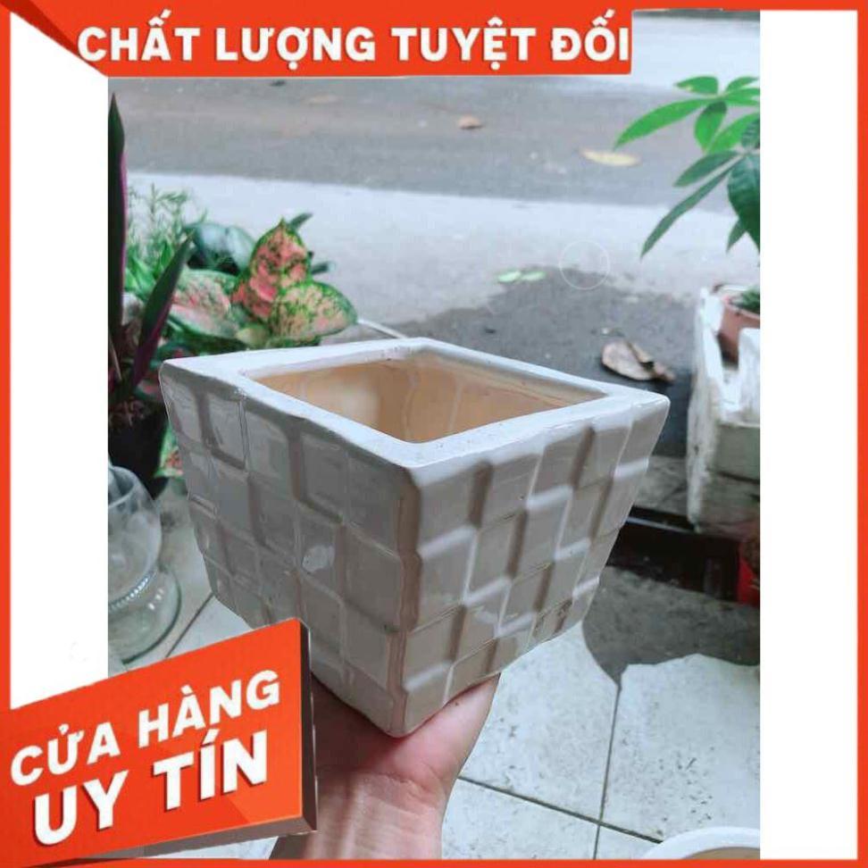 Chậu Trồng Cây Nhiều Người Mua