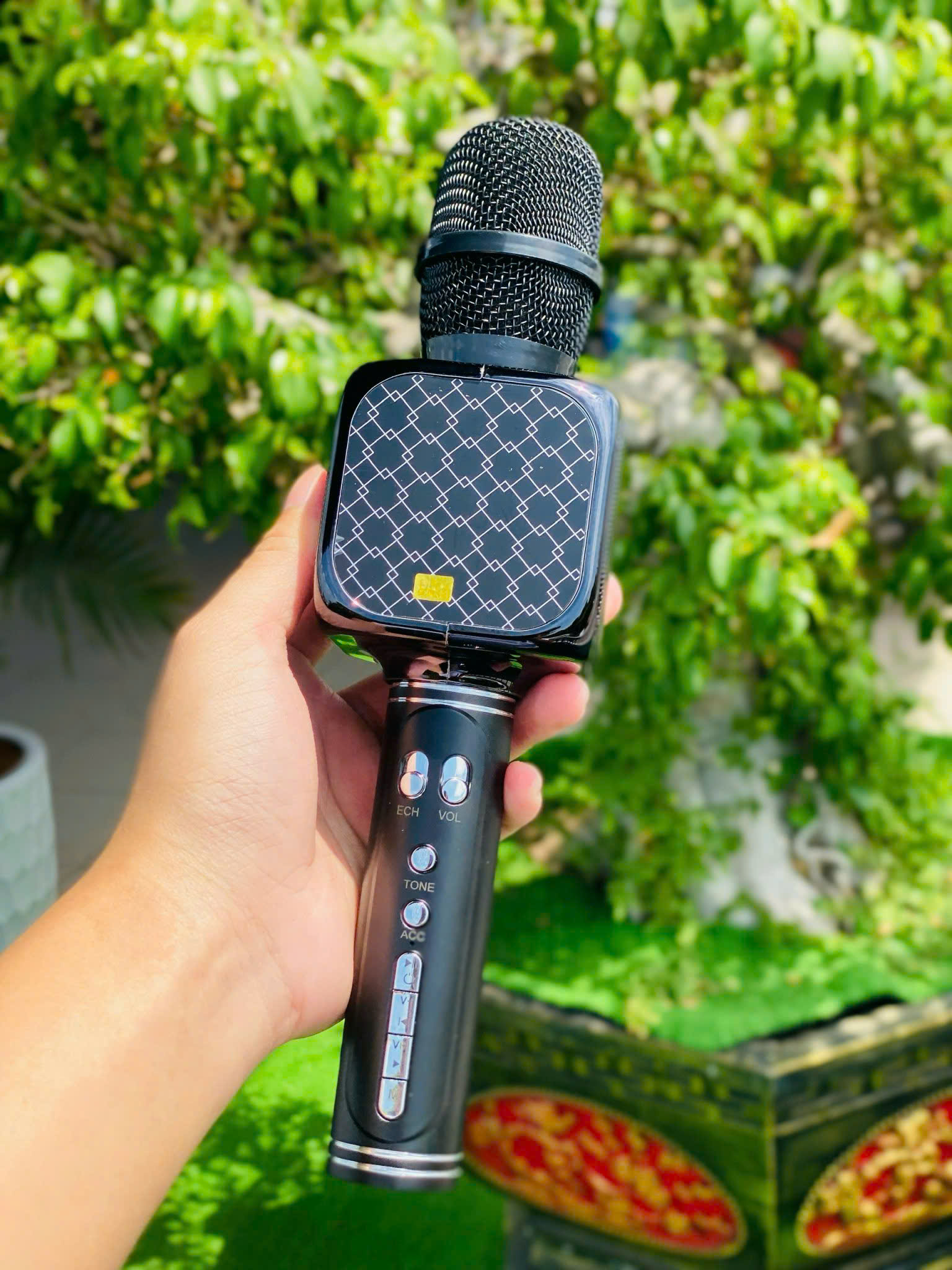 Micro Kèm Loa Bluetooth YS69 Hiệu Ứng Đổi Giọng Chuyên Nghiệp, Tích Hợp Loa Ngay Trên Micro, Karaoke Gia Đình, Giảng Dạy, Hội Họp hàng nhập khẩu