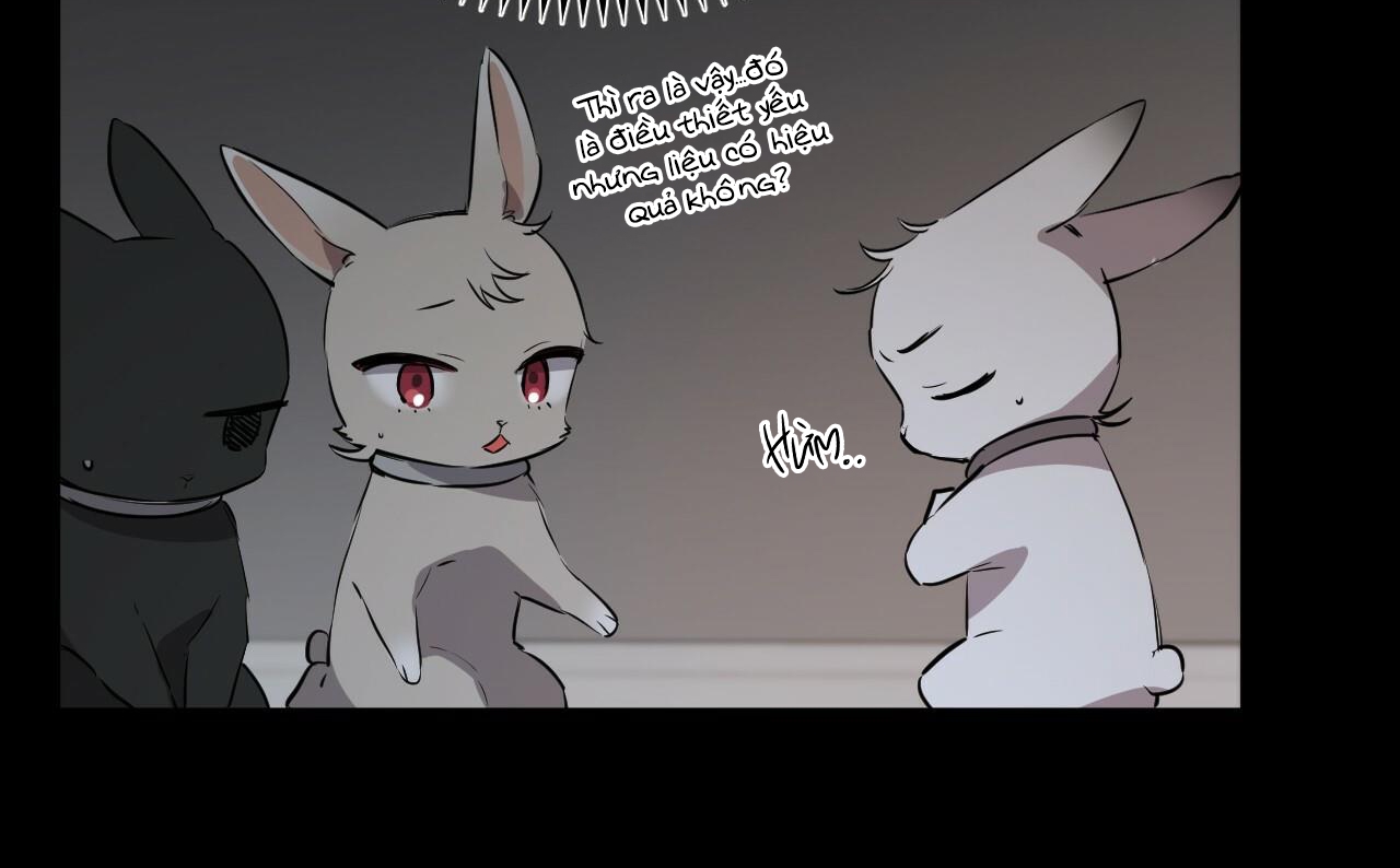 những chú thỏ của hapypy chapter 52 23