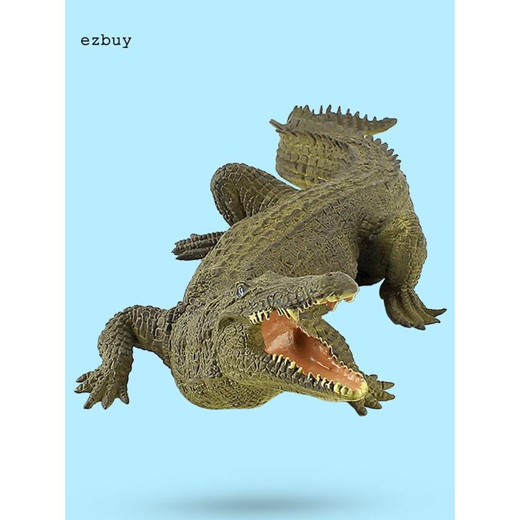 Lightweight Crocodiles Knowledge Toy Exquisite Crocodile Model Portable for Kids