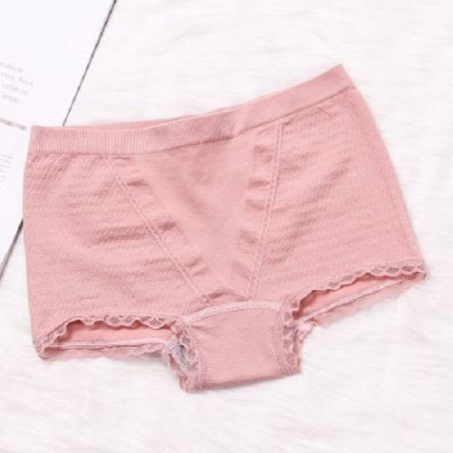 Combo 5 quần lót dạng đùi kháng khuẩn nữ cotton chữ V trơn cạp nhỏ cao cấp dễ thương xuất Nhật QLNU02