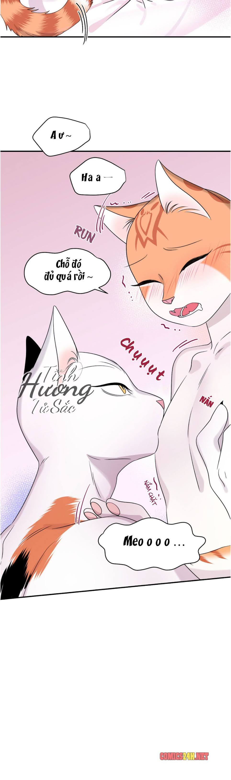 dự án xanh chapter 5 37