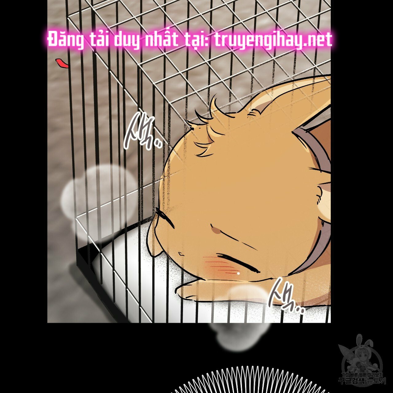 những chú thỏ của hapypy chapter 45 71