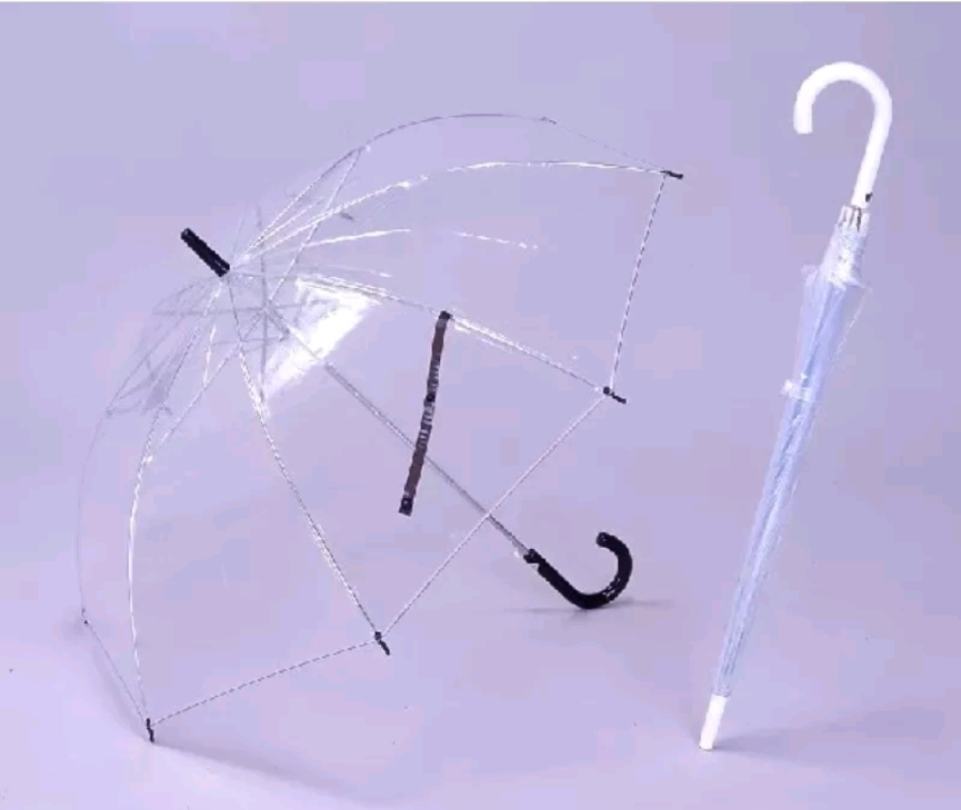 Ô trong suốt dù trong suốt