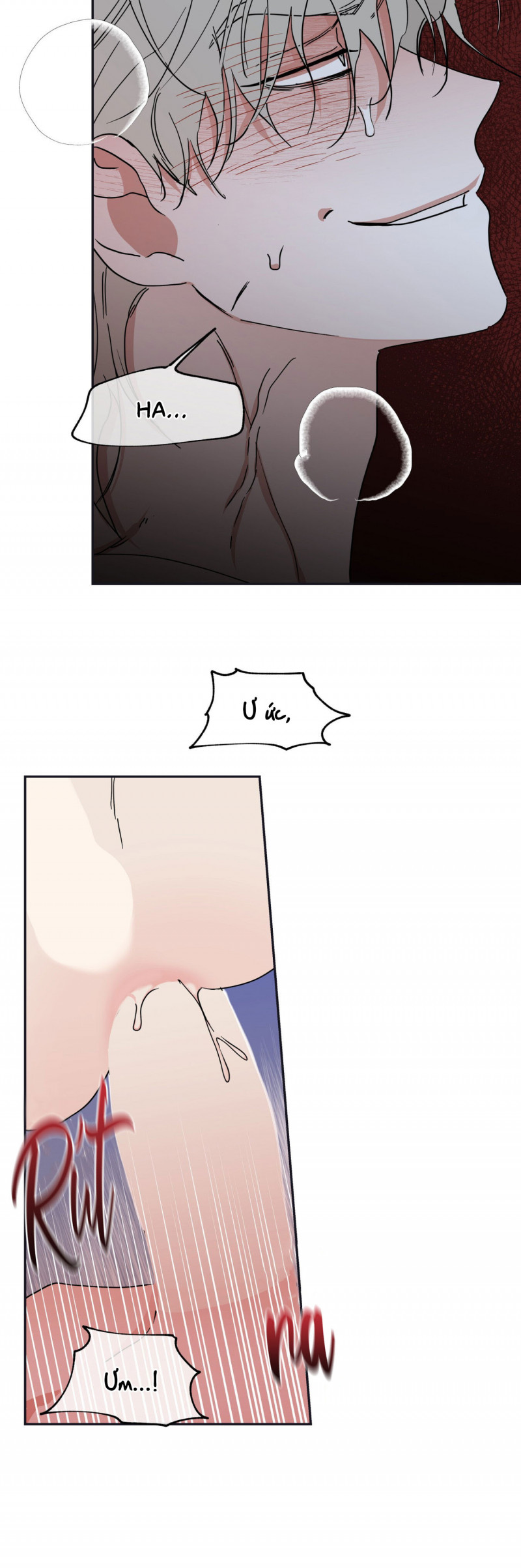 đêm bên bờ biển chapter 12 9