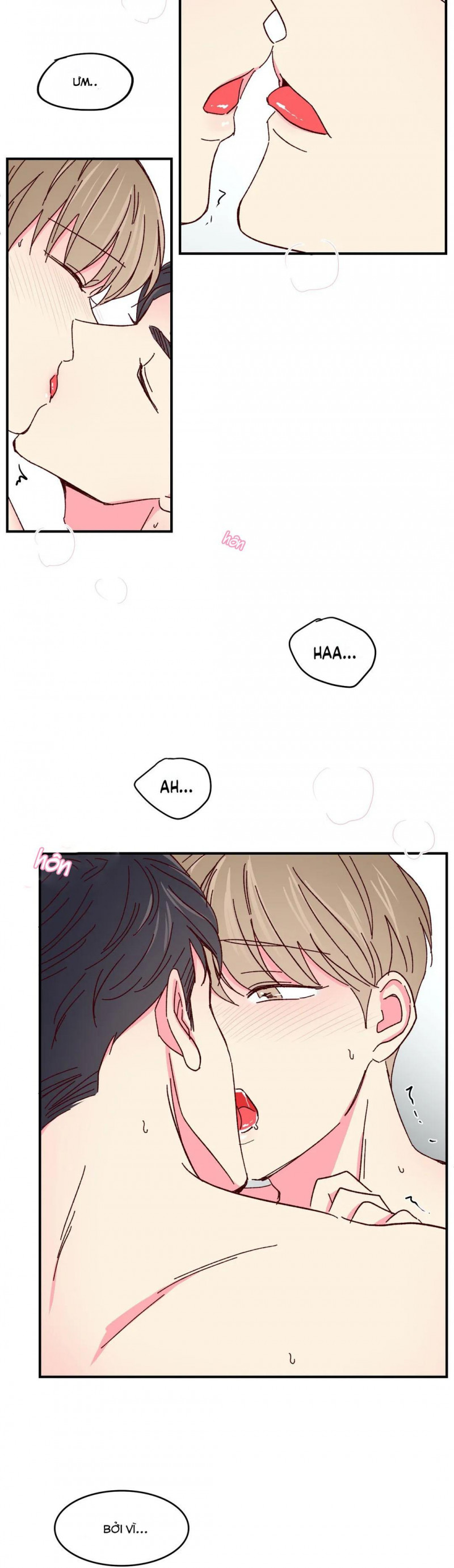 món tráng miệng của sếp tổng chapter 48 2