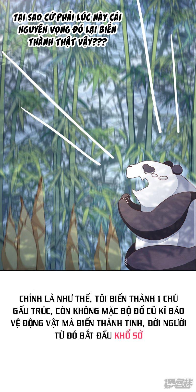 xuyên về cổ đại làm quốc bảo chapter 0 15