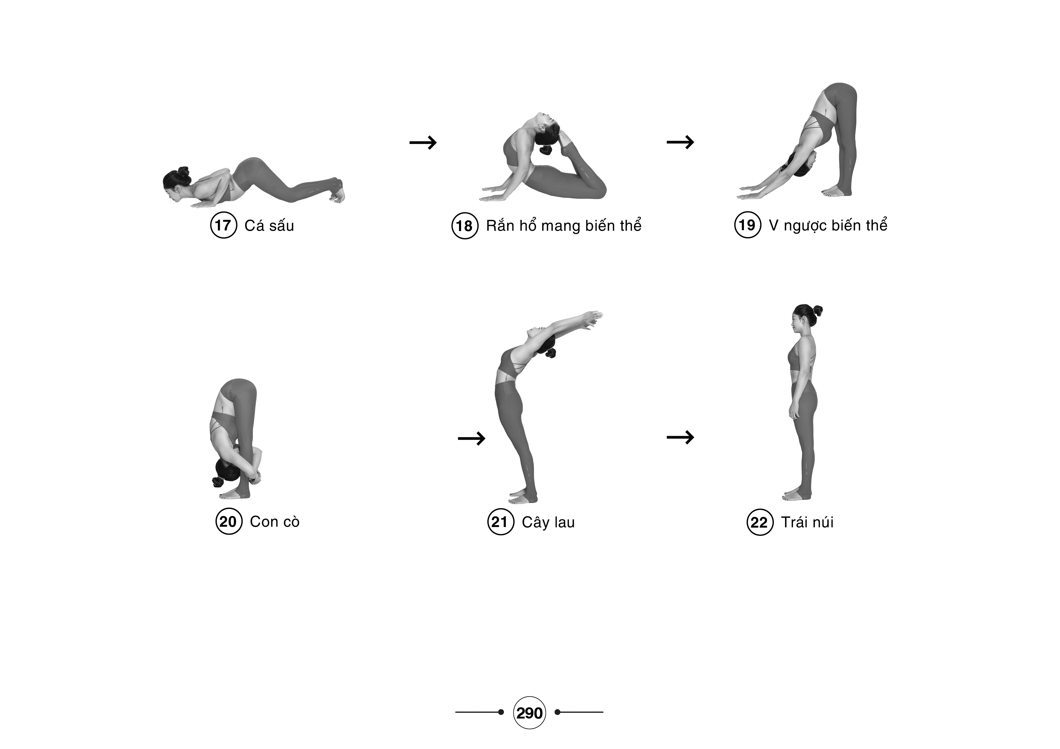 Hệ thống 1500 biến thể tư thế - 100 chuỗi bài yoga liên hoàn