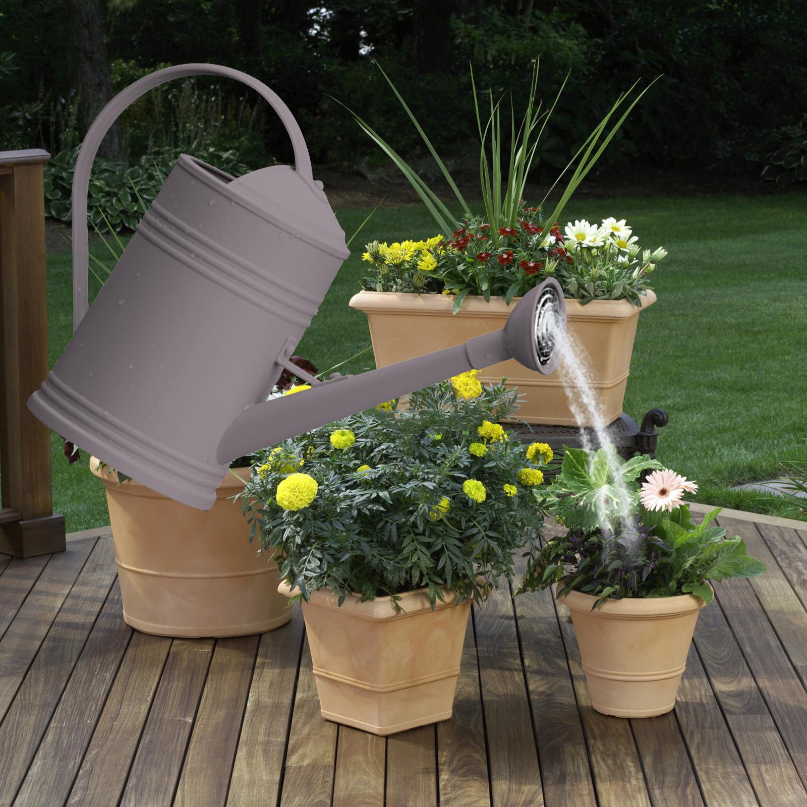 Watering Can Flower Watering Sprinkler Head for Indoor Garden