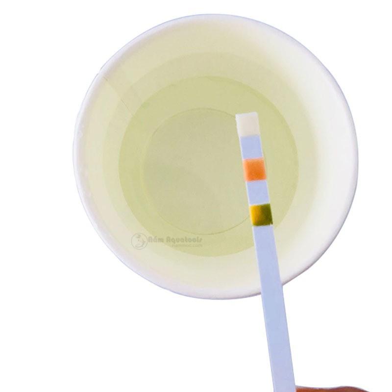 Test Strips 3 in 1 | Que Tets Nước 3 trong 1 | Kiểm tra Clo - pH - Độ kiềm cho Bể cá cảnh, thuỷ sinh