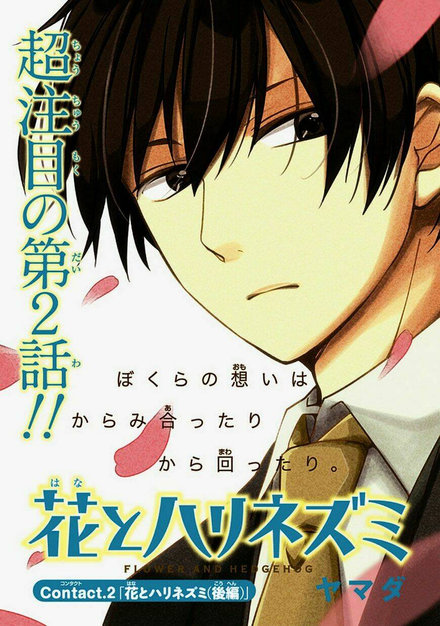 hana to harinezumi chapter 2 1