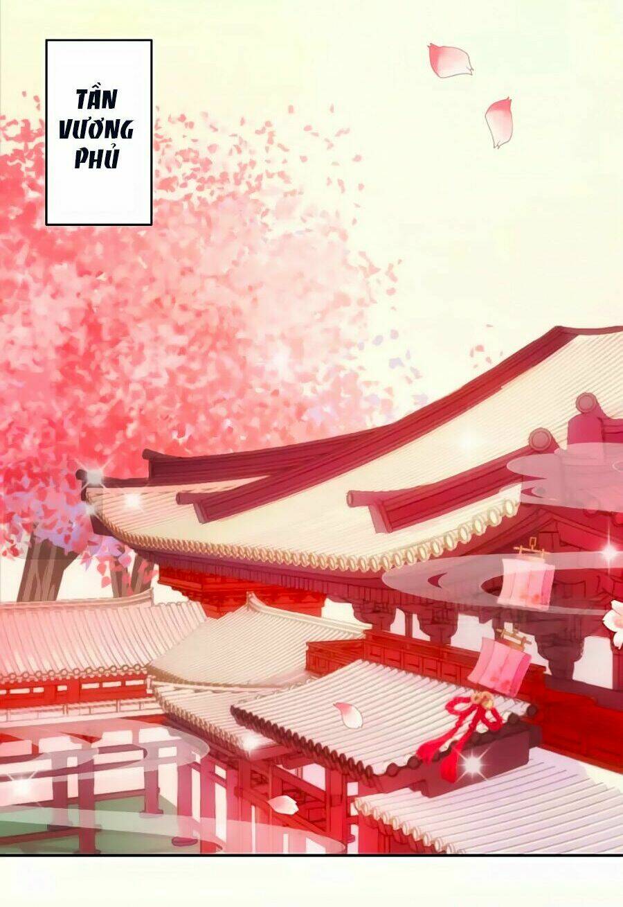 vương phi, vương gia nhà ngươi không ngốc nữa rồi chapter 1 13