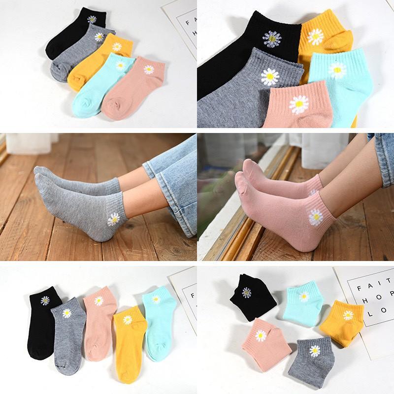 Tất hoa cúc cho bạn nữ, tất hoa cúc Hot trend - Giao màu ngẫu nhiên