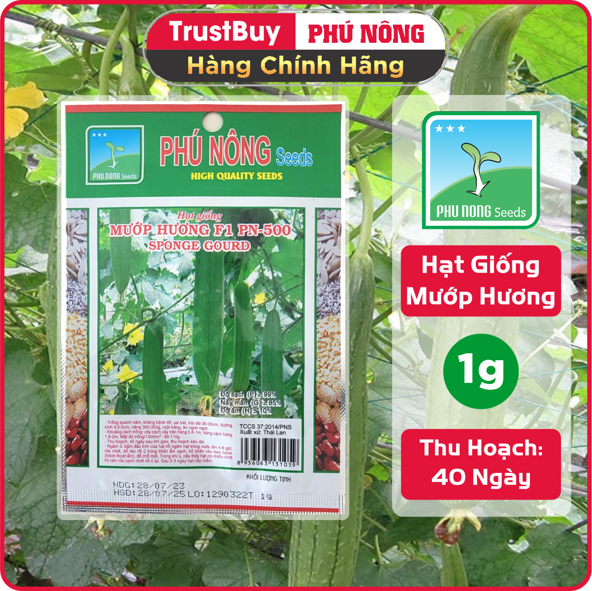 Hạt Giống Mướp Hương PN-500 Phú Nông Gói 1g