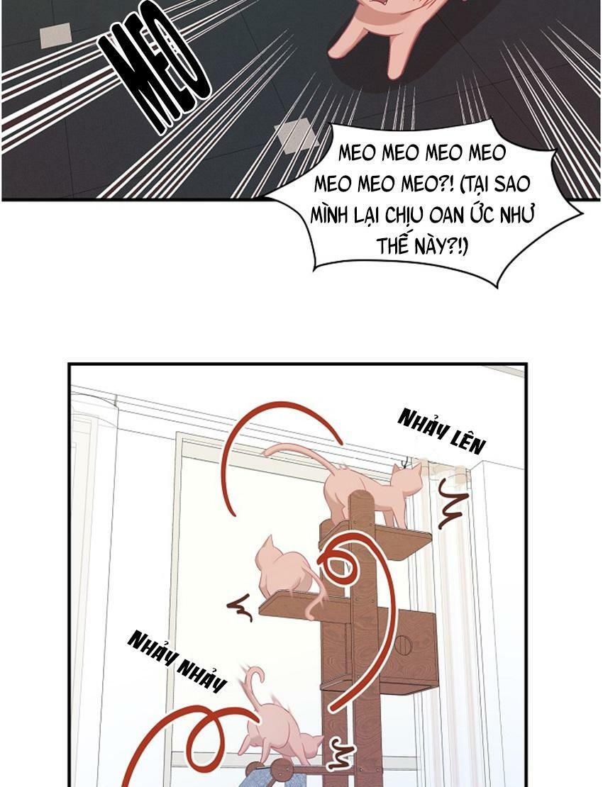 cuộc sống kỳ thú chapter 17 9
