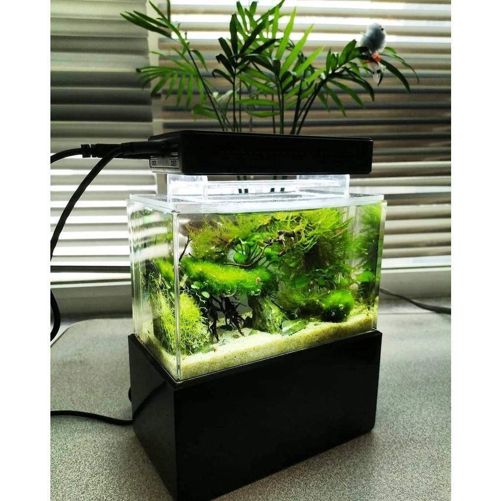 Bể cá siêu mini - Cunzo Mini Plastic Fish Tank