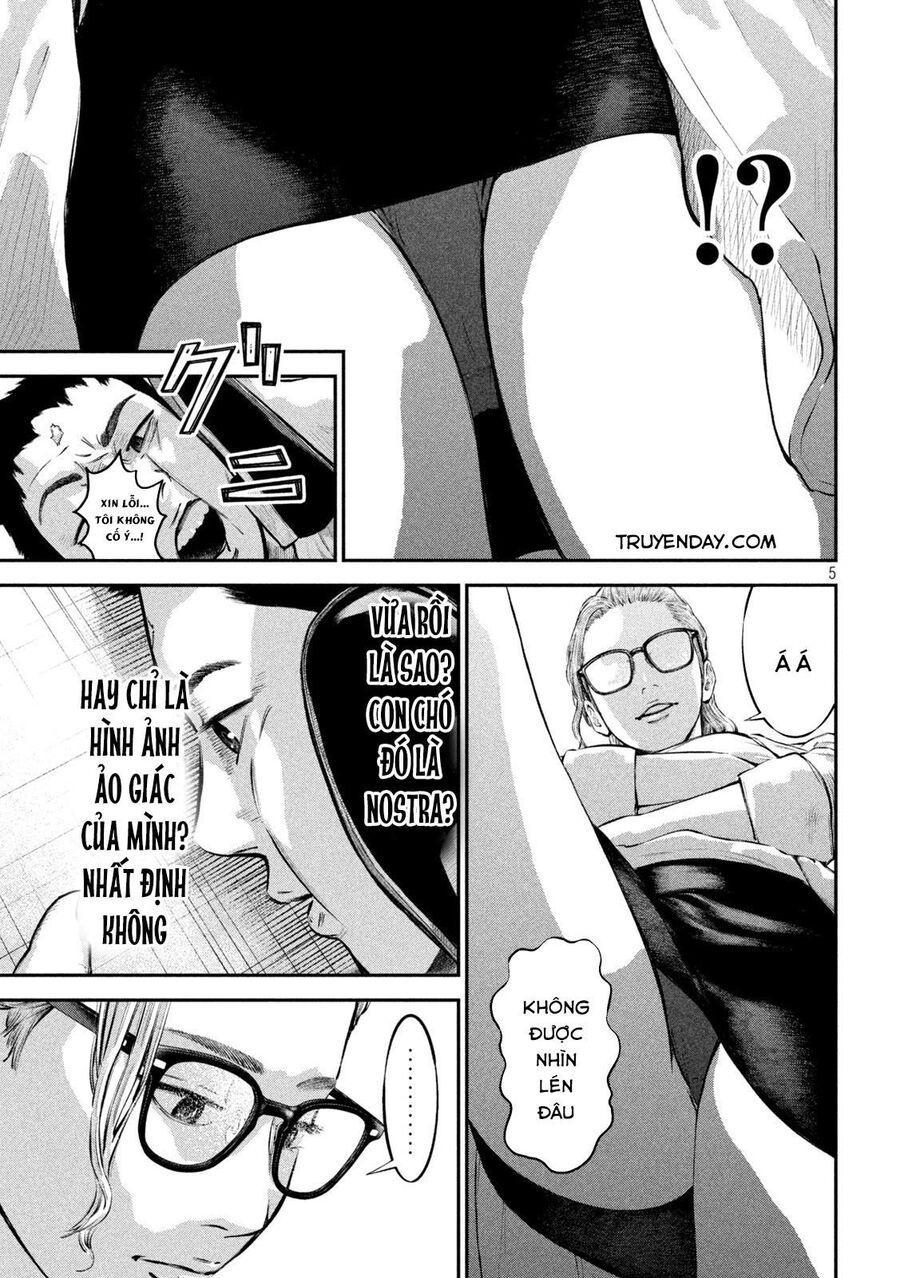 mật danh: nostra chapter 15 6
