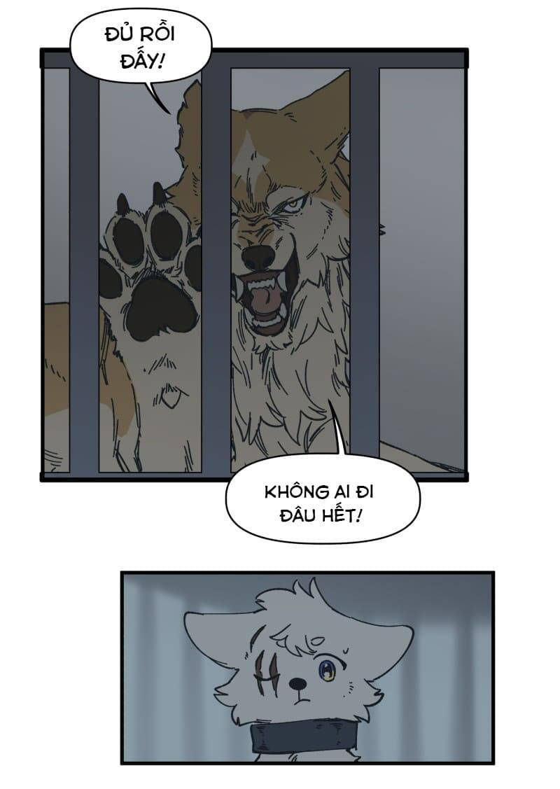 lumine - cội nguồn ánh sáng chapter 140 12