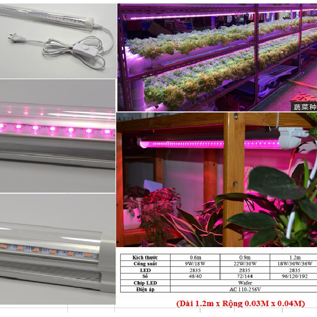 Combo 2 Đèn LED Trồng Cây và Rau Thủy Canh Trong Nhà Kính (Dài 1.2M) với anh sáng tím hồng giúp cây trồng và rau trong nhà phát triển nhanh