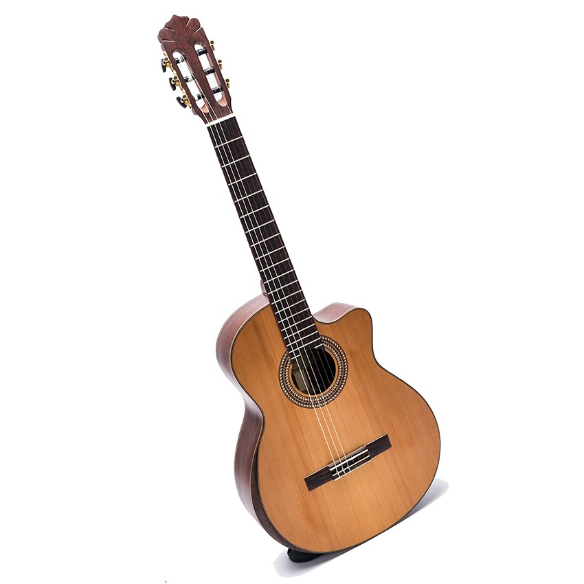 Đàn Guitar Classic DC450J guitar Việt Nam