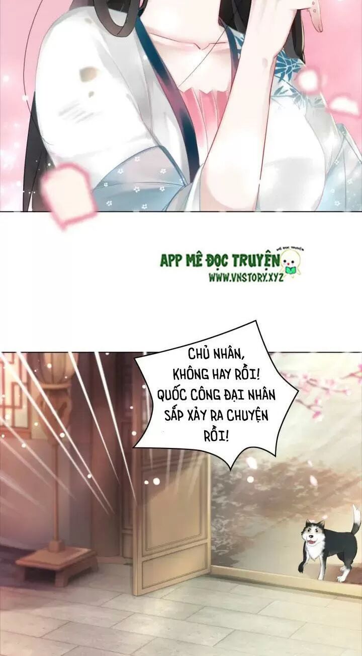 cực phẩm phế vật tiểu thư chapter 114 15