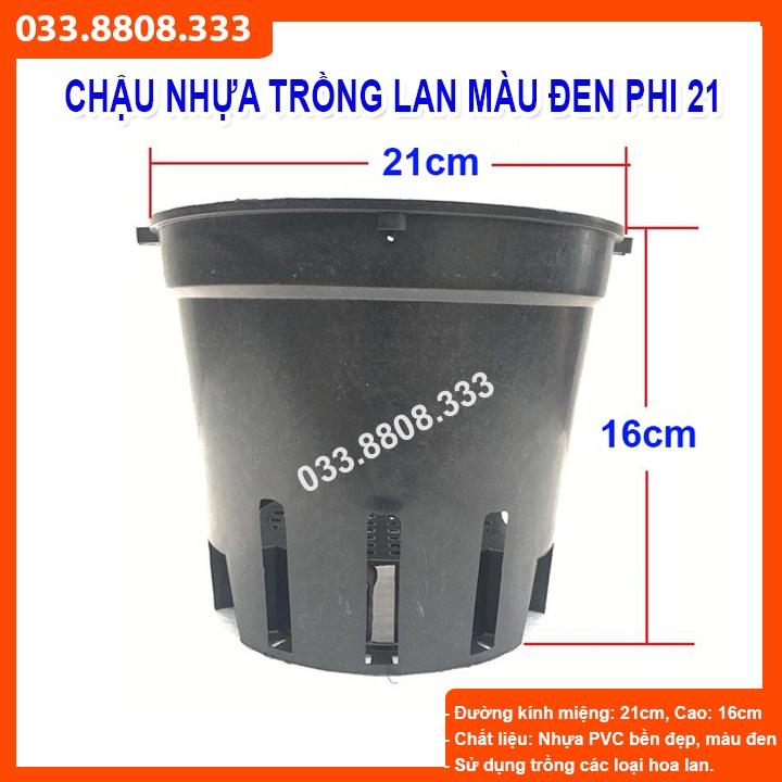 5 CHẬU NHỰA TRỒNG LAN ĐẸP PHI 21 - CHẬU BỀN ĐẸP. CHUYÊN TRỒNG LAN -VTNN - CTC