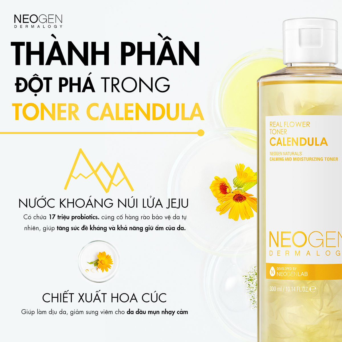 Toner Hoa Cúc Cân Bằng Lợi Khuẩn, Làm Dịu, Siêu Cấp Ẩm Cho Da Mụn Nhạy Cảm Neogen Dermalogy 300ml