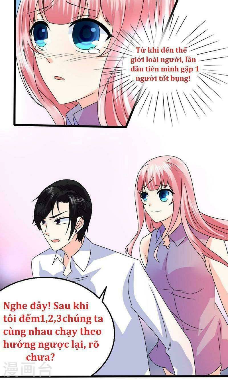 sủng vật người cá của tổng tài chapter 4 14