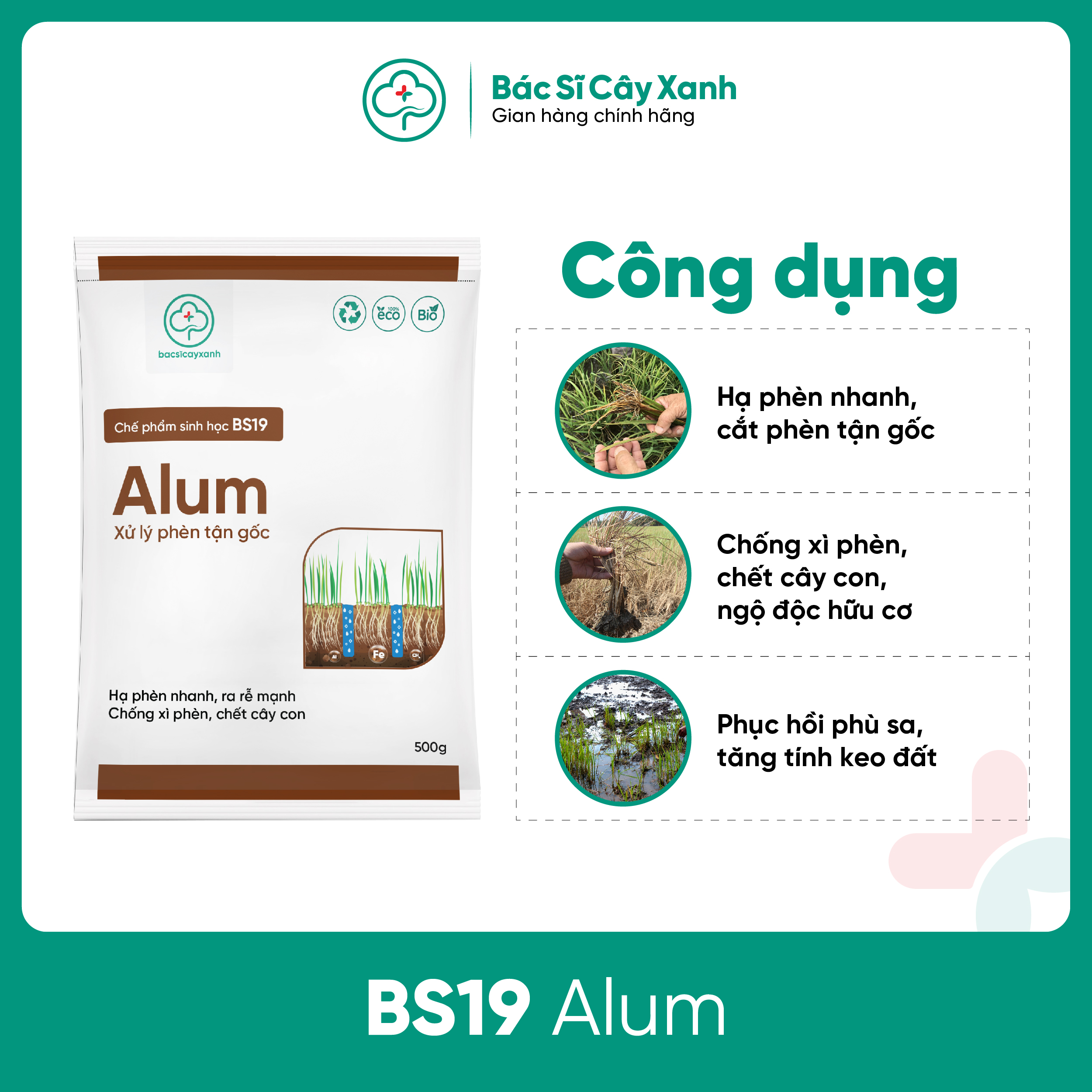 Chế phẩm hạ phèn nhanh, cải tạo đất nhiễm mặn, chống ngộ độc hữu cơ BS19 Alum 500g NSX Bacsicayxanh