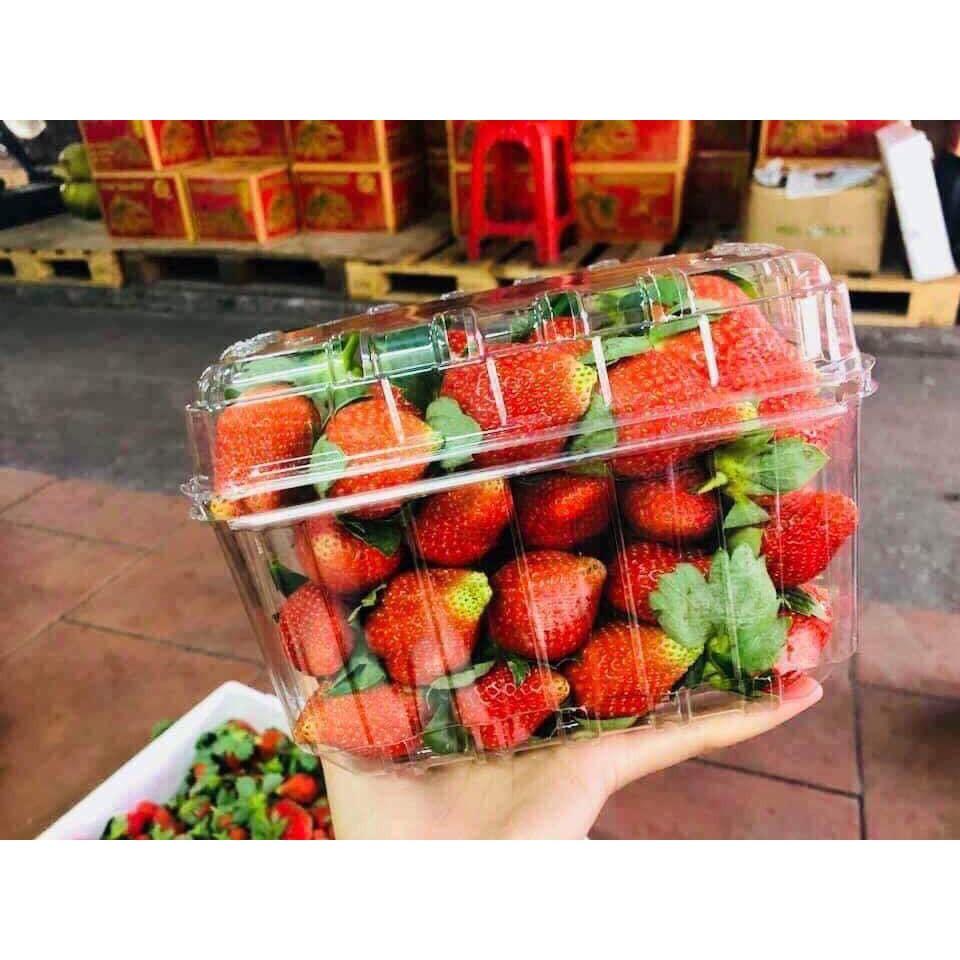 50 Hộp P1000B Đựng Trái Cây 1kg Như Cherry - Dâu - Kiwi - Táo Xanh - Mít