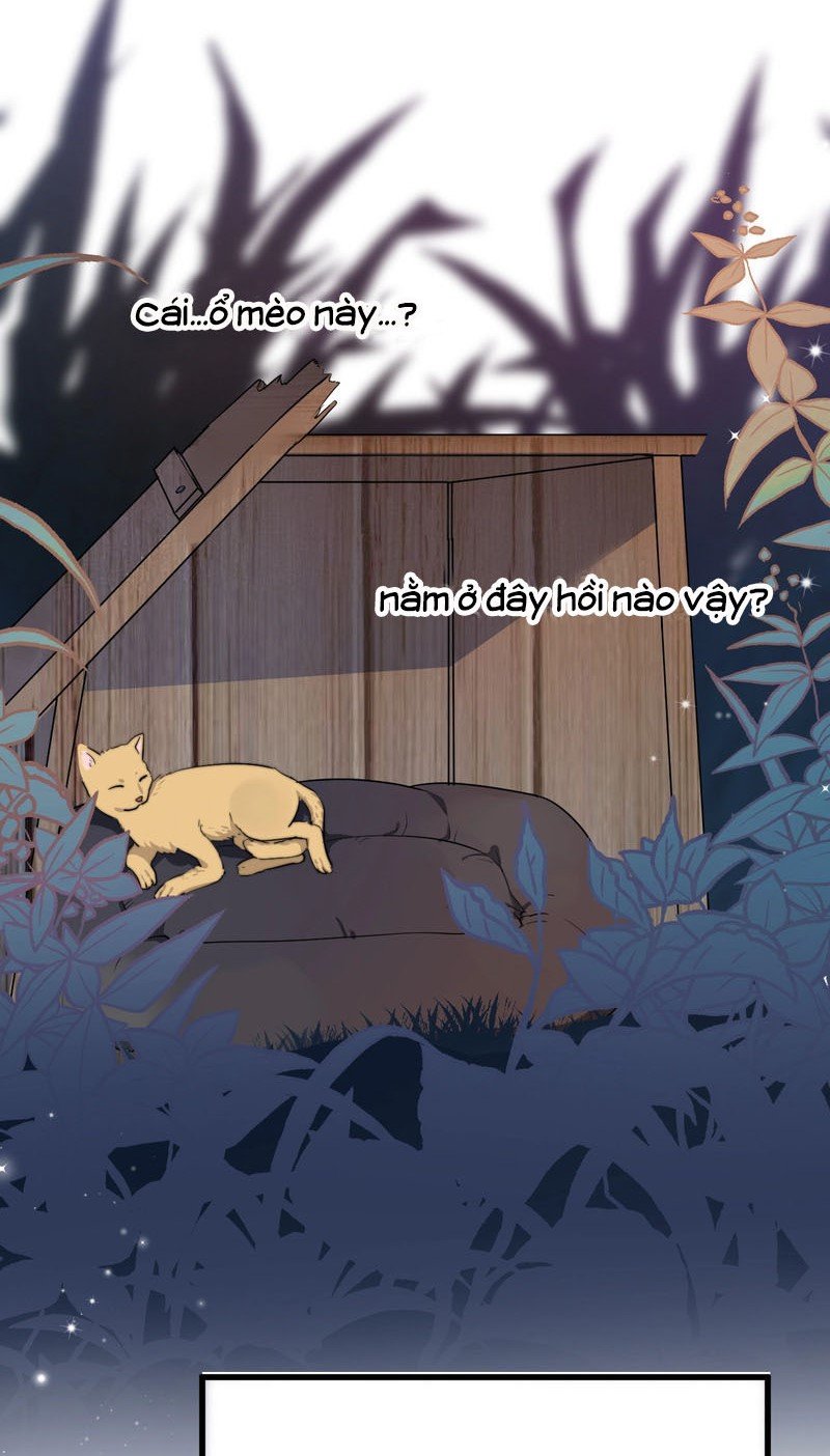 người đàn ông ấy khiến tôi không thể cưỡng lại chapter 11 35