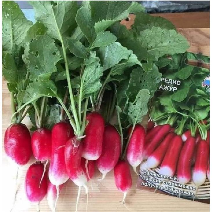 Hạt giống củ cải dài đỏ - 1 gói 5gram