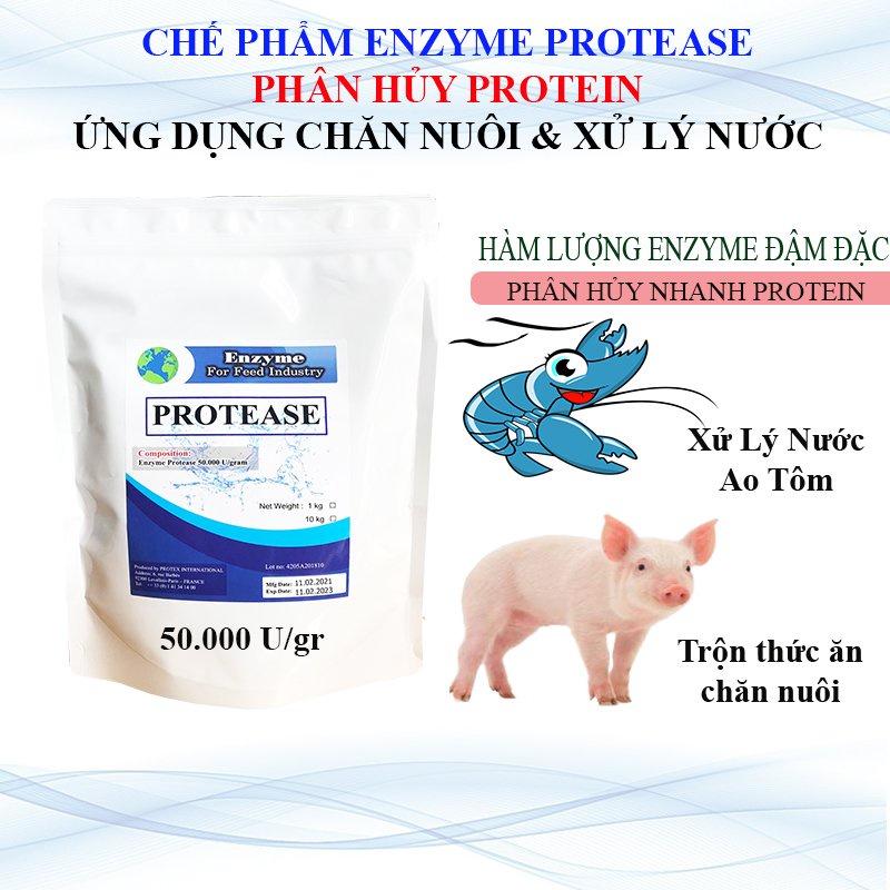 ENZYME PROTEASE Nguyên Liệu # Gói 1kg .