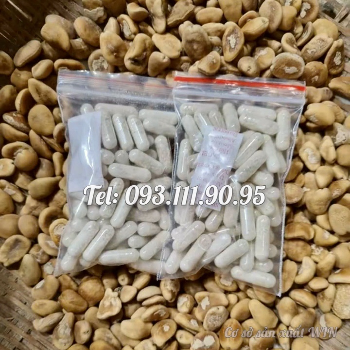 Hạt sang trắng rừng Tây Bắc viên nang hỗ trợ các vấn đề về dạ dày, bao tử như đại tràng,trào ngược dạ dày,ợ hơi,ợ chua,ăn uống khó tiêu,dạ dày khuẩn HP, hang vị - Mã số 1050