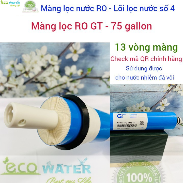 Lõi lọc nước ro , màng lọc nước ro , lõi lọc nước số 4 - GT75