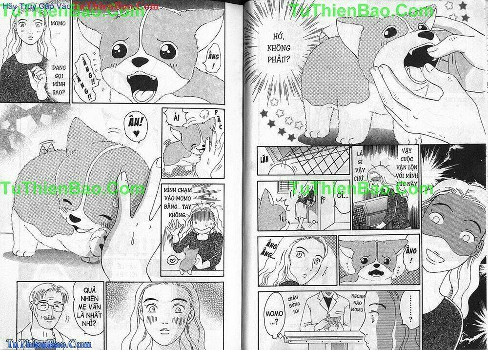 chó con mo mo chapter 2 16