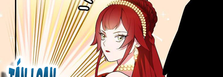 tôi sẽ cố gắng bảo vệ em gái chapter 28.1 279