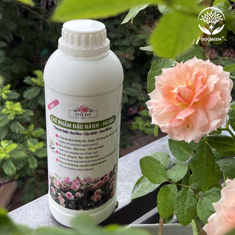 Chế phẩm đậu nành Humic- Docneem - phân bón hữu cơ đặc biệt cho hoa hồng sai bông