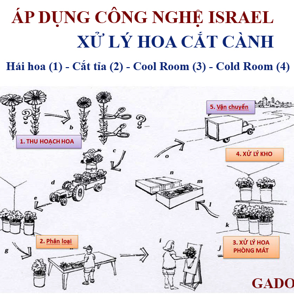 Thuốc Dưỡng Hoa Tươi Cắt Cành Nhập Khẩu Israel hiệu Longlife (1 thùng 1.000 gói 5gr) phù hợp dùng làm nước cắm hoa cho mọi loại hoa tại nhà và 14 ngày không cần thay nước mới