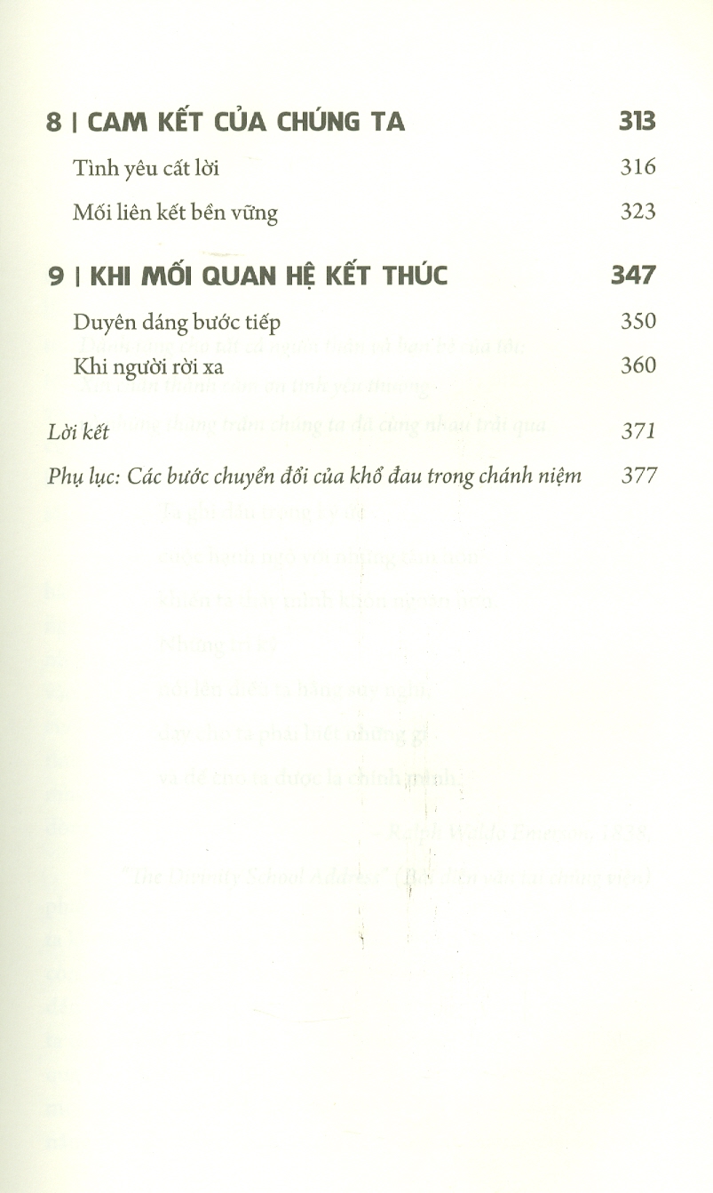 Trưởng Thành Khi Yêu - David Richo - Trâm Vũ dịch - (bìa mềm)