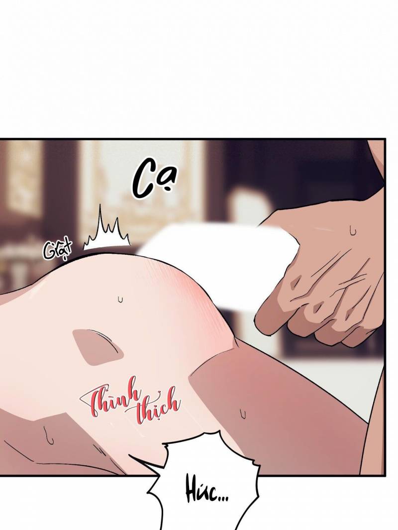 chàng dâu nhà họ kang chapter 50 57