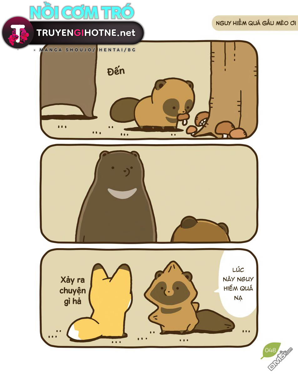 cáo và gấu mèo chapter 11 7