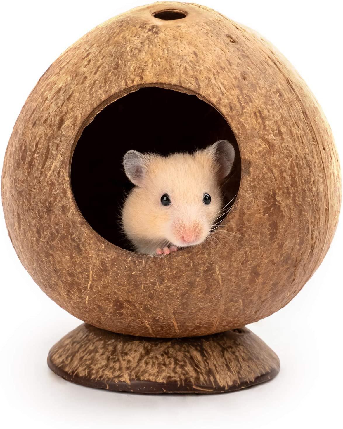 Dừa Hut Hamster House Giường để trang trí môi trường sống cho động vật nhỏ