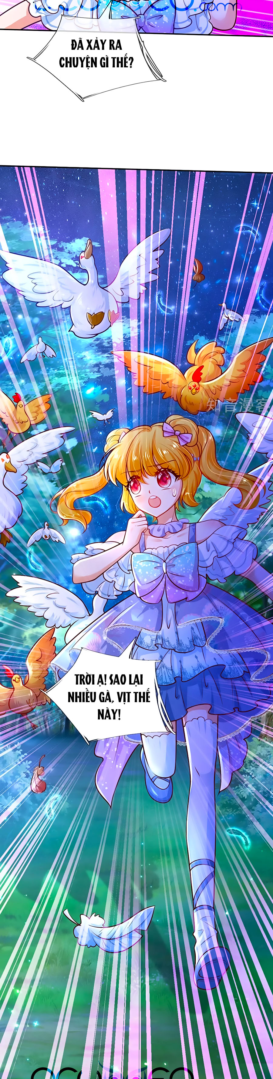 bỗng một ngày nọ trở thành con gái vua chapter 242 11