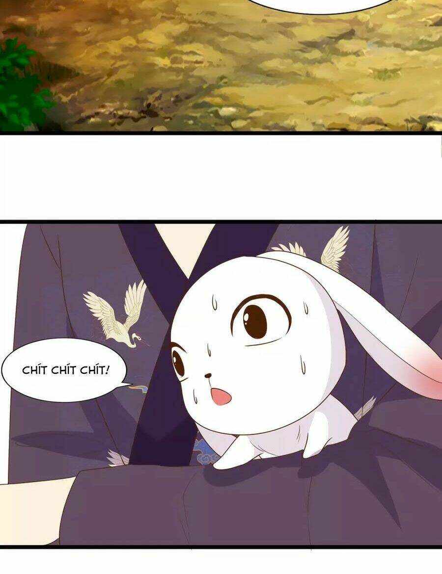 thỏ yêu tiểu vương phi chapter 93 37