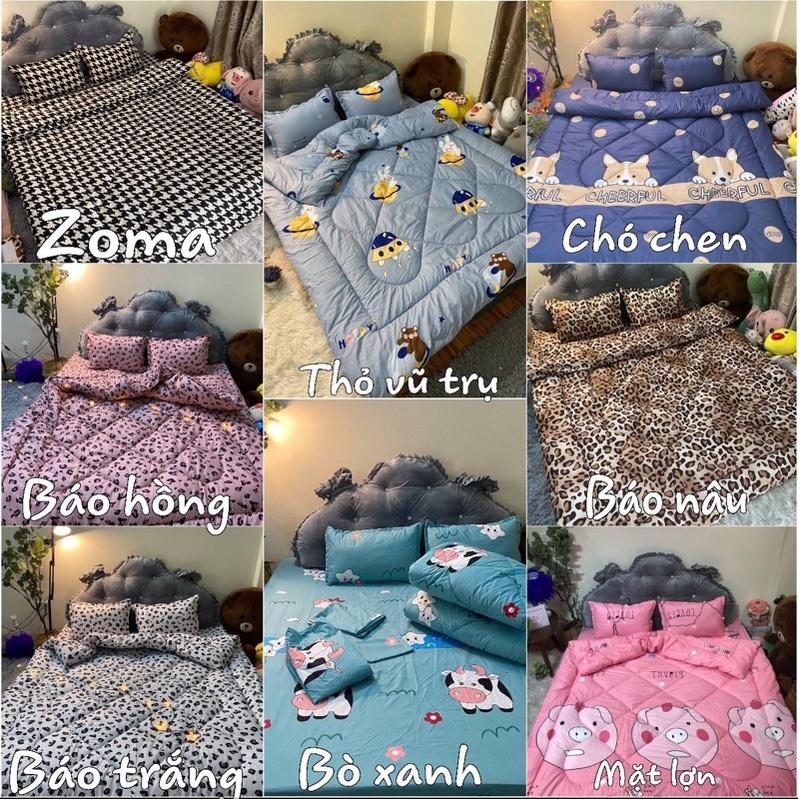 Sét phao 5 món cotton poly chăn ga gối + vỏ ôm