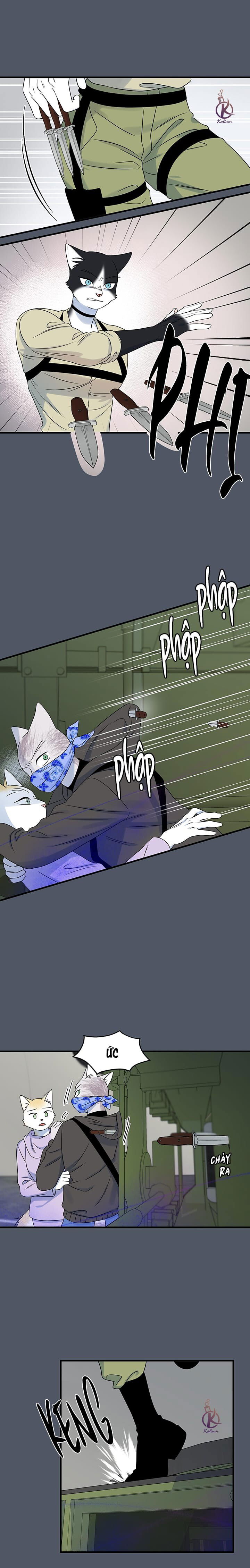 dự án xanh chapter 44 7