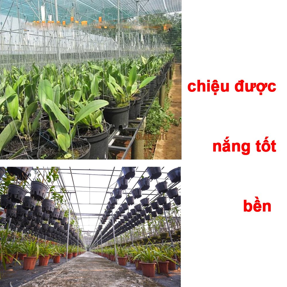 100 Chậu Nhựa đen Trồng Lan phi 16 Bền, Dẻo, có khe Treo chậu-77316